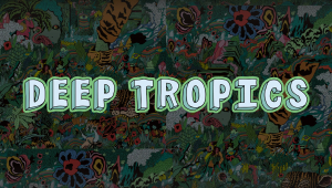 Image of Deep Tropics Festival