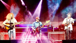Image of The Steppers